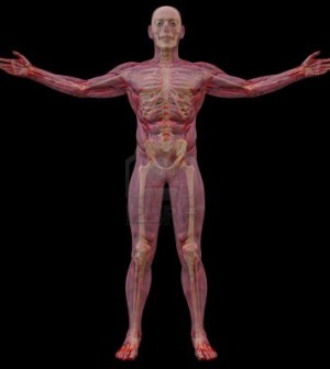 human-body-pictures-hd-wallpaper-1-300x336