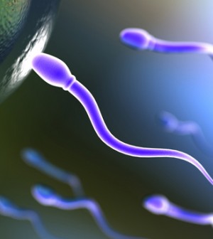 Megdöbbentő eredmény a spermáról