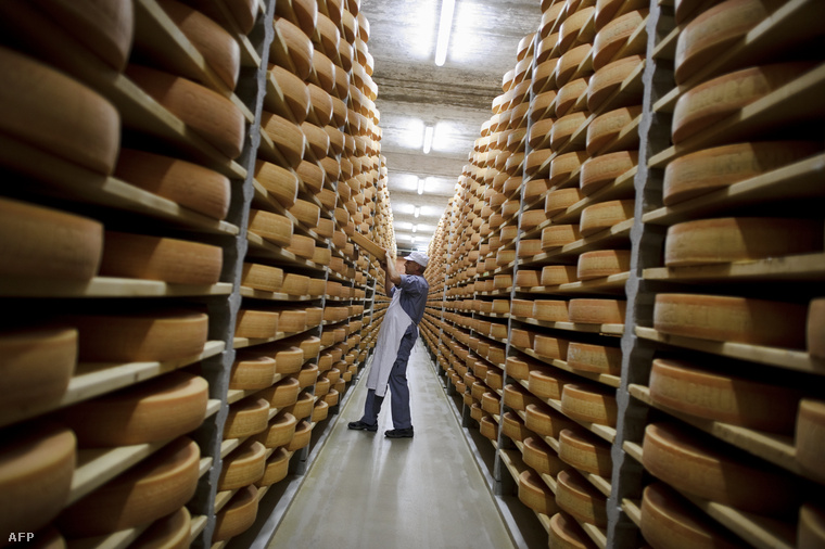 60 milliárd értékű parmezán pihen olasz sajtbankokban