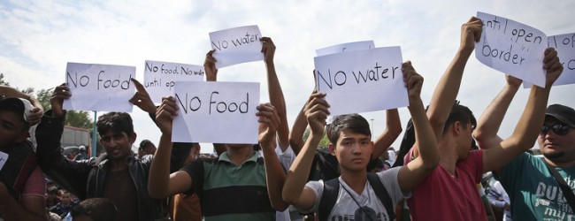 Havi 2000 Eurót követelnek a migránsok,éhség sztrájkba kezdtek!