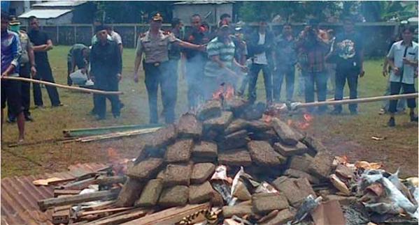 Az indonéz rendőrség elégetett 3 tonna füvet, de mivel fújt a szél, egy egész település betépett