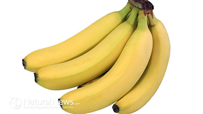 bananas-bunch-yellow-650x