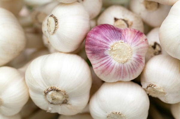 how-to-spot-bleached-and-chemical-laden-garlic-from-china