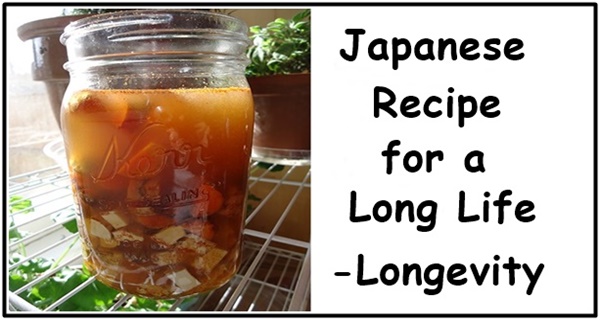 japanese-recipe-for-longevity
