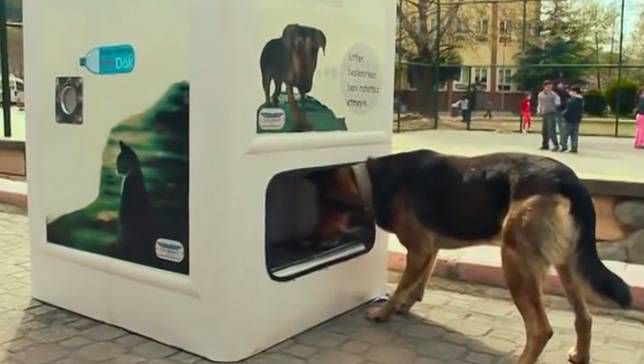 Ez az automata használt műanyag flakonokért cserébe ételt ad a kóbor kutyáknak