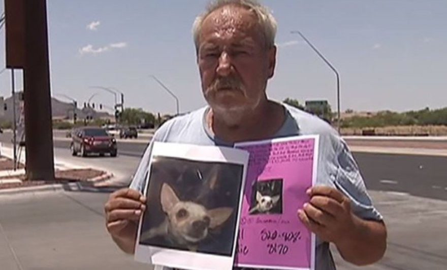 A lakását és a hozzá tartozó kertet ajánlotta fel elveszett kutyájáért egy férfi